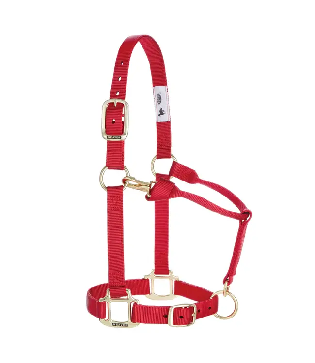 Weaver Licou en Nylon 1'' Ajustable Rouge