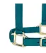 Weaver Licou en Nylon 1'' Ajustable Sarcelle