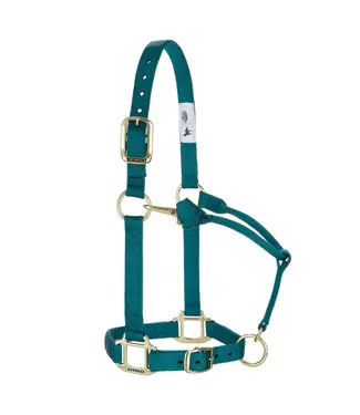 Weaver Licou en Nylon 1'' Ajustable Teal