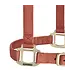 Weaver Licou en Nylon 1'' Ajustable Cannelle
