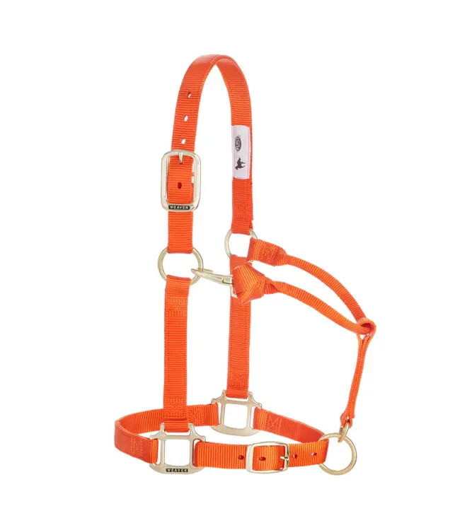 Weaver Licou en Nylon 1'' Ajustable Orange