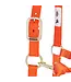 Weaver Licou en Nylon 1'' Ajustable Orange
