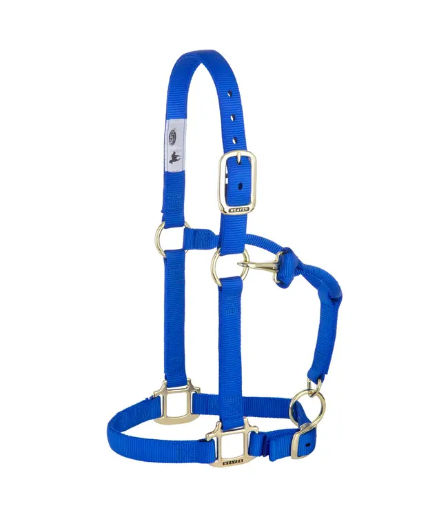 Weaver Licou en Nylon 1'' Ajustable Bleu Royal