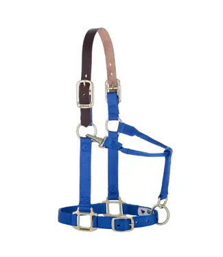 Weaver Licou en Nylon Breakaway Original Ajustable Bleu