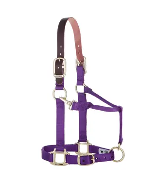 Weaver Licou en Nylon Breakaway Original Ajustable Mauve