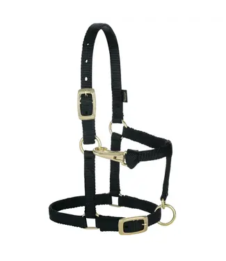 Weaver Licou en Nylon Ajustable 5/8'' pour Miniature