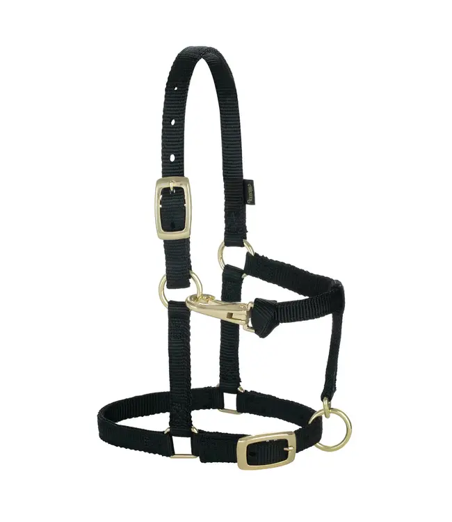 Weaver Licou en Nylon Ajustable 5/8'' pour Miniature