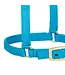 Weaver Licou en Nylon Ajustable 5/8'' pour Miniature