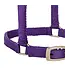 Weaver Licou en Nylon Ajustable 5/8'' pour Miniature