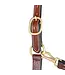 Weaver Licou en Cuir 1'' Thoroughbred avec Snap