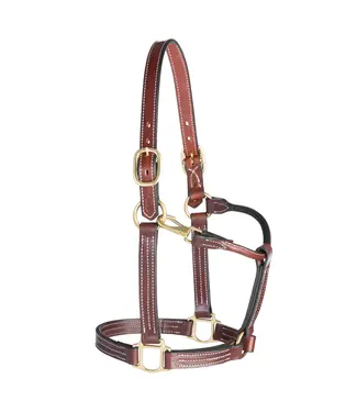 Weaver Licou en Cuir 1'' Thoroughbred avec Snap