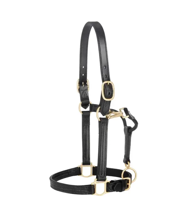 Weaver Oiled Black Leather 1'' Track Halter