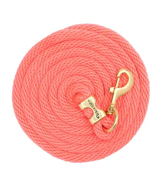 Weaver Laisse Value Rope en Brass Diva Pink