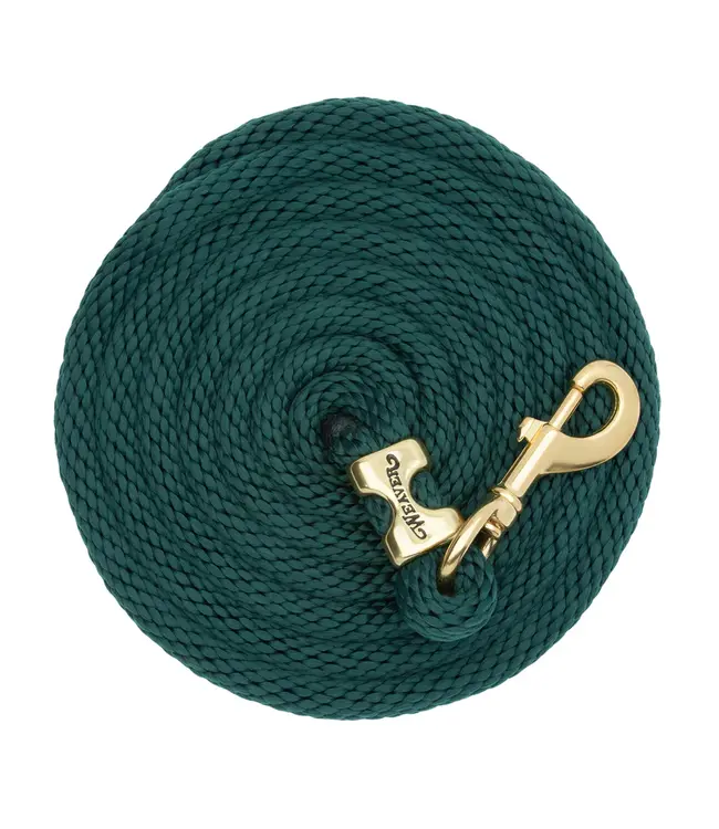 Weaver Laisse Value Rope en Brass Vert Forêt