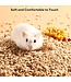 Ferme Maxiel Corn Cobs