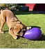JOLLY PETS Jolly Egg