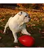 JOLLY PETS Jolly Egg