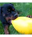 JOLLY PETS Jolly Egg