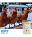 Chick'n Swell Chick’N Vitamins+ Nutritional Supplement in Poultry