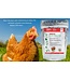 Chick'n Swell Supplément d'Électrolytes pour Volaille
