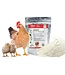 Chick'n Swell Supplément d'Électrolytes pour Volaille