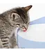 Catit PIXI Drinking Fountain