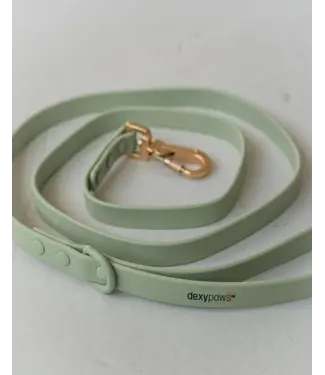Dexypaws Laisse Imperméable en Biothane Vert Sauge
