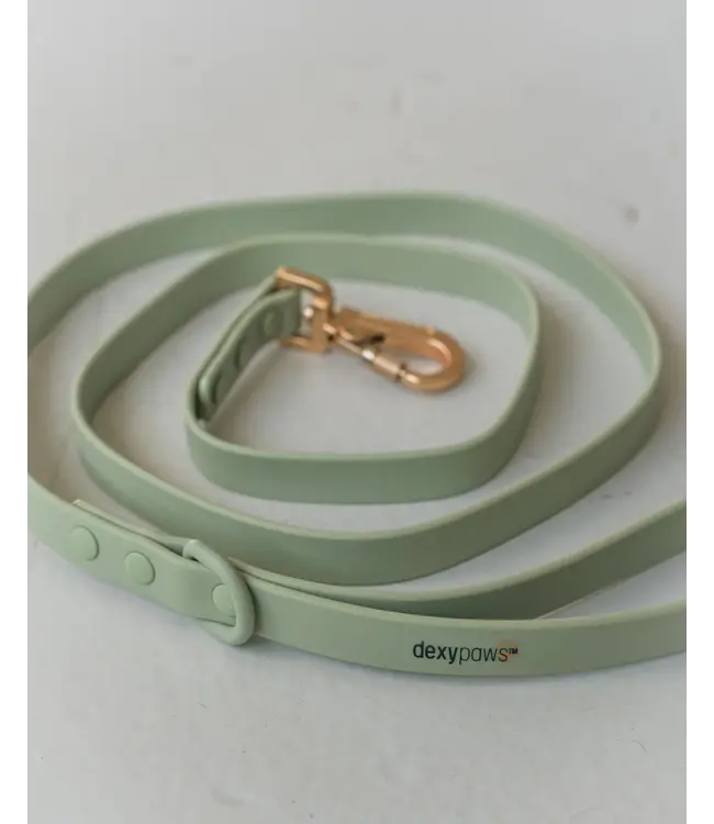 Dexypaws Laisse Imperméable en Biothane Vert Sauge