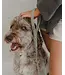 Dexypaws Laisse Imperméable en Biothane Vert Sauge