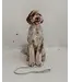 Dexypaws Laisse Imperméable en Biothane Vert Sauge