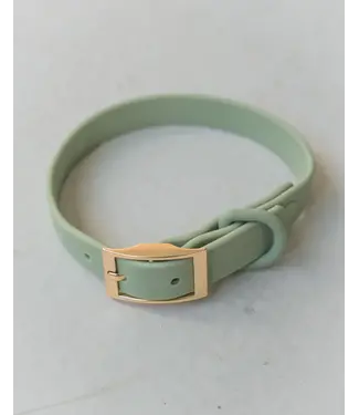 Dexypaws Collier Imperméable en Biothane Vert Sauge