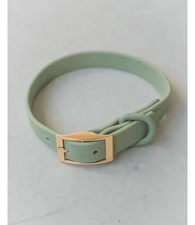 Dexypaws Collier Imperméable en Biothane Vert Sauge