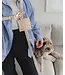 Dexypaws 6Foot Waterproof Hands Free Dog Leash