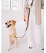 Dexypaws 6Foot Waterproof Hands Free Dog Leash