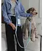 Dexypaws 6Foot Waterproof Hands Free Dog Leash
