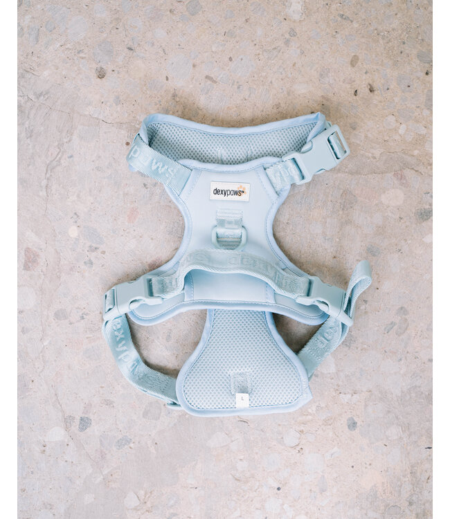Dexypaws Sky Blue No-Pull Dog Harness