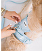 Dexypaws Sky Blue No-Pull Dog Harness