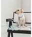 Dexypaws Collier Imperméable en Biothane Sky Blue