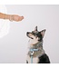 Dexypaws Collier Imperméable en Biothane Sky Blue