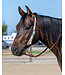 Weaver Sliding Ear Patterned Poly Headstall