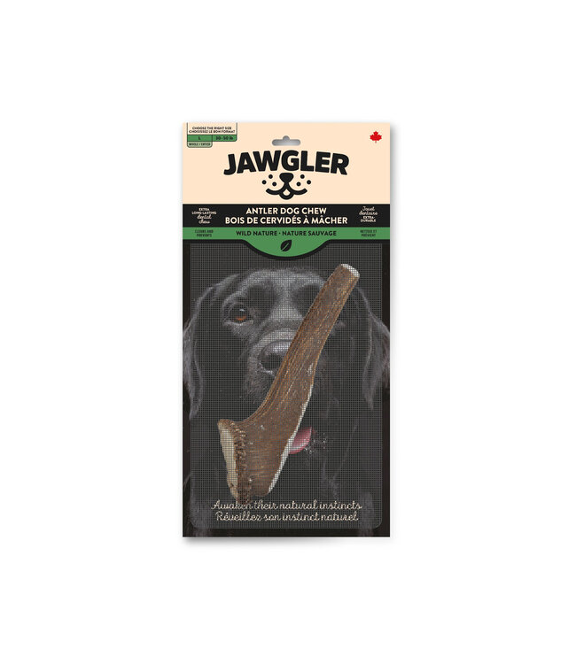 Jawgler Bois de Cervidés Entier Nature Sauvage