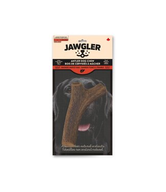 Jawgler Bois de Cervidés Entier au Jambon Fumé à l'Érable