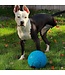 JOLLY PETS Invincible Jolly Soccer Ball