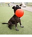 JOLLY PETS Invincible Jolly Soccer Ball