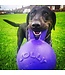 JOLLY PETS Ballon Tug-N-Toss