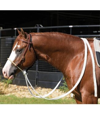 Professional's Choice Hackamore Loping Mule Tape Reins