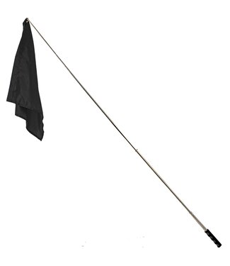 Mustang Training Flag