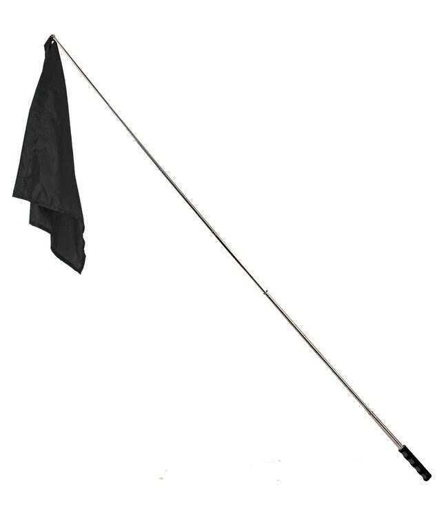 Mustang Training Flag