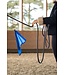 Mustang Training Flag