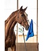 Mustang Training Flag